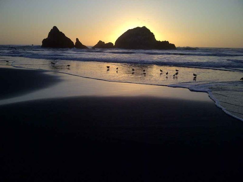 sutro beach2.jpg